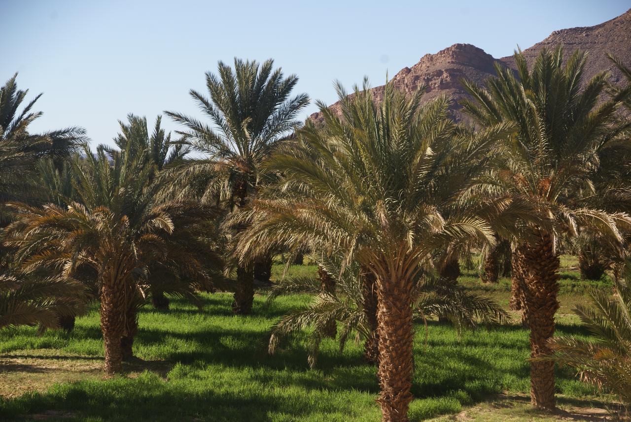 Riad Les Jardins De Tafraoute Foum Mharech 外观 照片